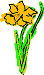 symb_daffodil.gif