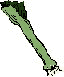 symb_leek.gif