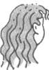 phys_hair_wavy.jpg