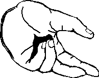 phys_hand.gif