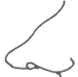 phys_nose_long.gif