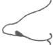 phys_nose_pointed.gif